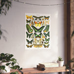 VINTAGE Butterflies Matte Vertical Posters