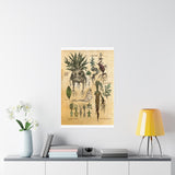 MANDRAKE vintage Premium Matte Vertical Posters