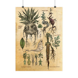 MANDRAKE vintage Premium Matte Vertical Posters