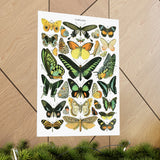 VINTAGE Butterflies Matte Vertical Posters