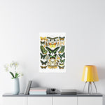 VINTAGE Butterflies Matte Vertical Posters