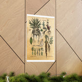 MANDRAKE vintage Premium Matte Vertical Posters