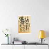 MANDRAKE vintage Premium Matte Vertical Posters