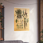 MANDRAKE vintage Premium Matte Vertical Posters