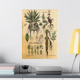 MANDRAKE vintage Premium Matte Vertical Posters