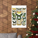 VINTAGE Butterflies Matte Vertical Posters