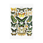 VINTAGE Butterflies Matte Vertical Posters