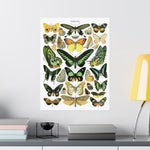 VINTAGE Butterflies Matte Vertical Posters