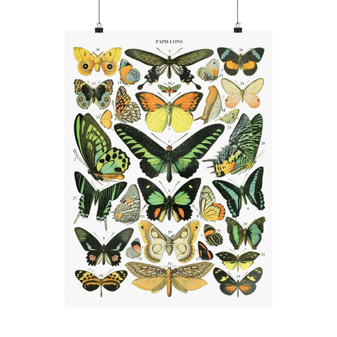 VINTAGE Butterflies Matte Vertical Posters