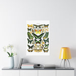 VINTAGE Butterflies Matte Vertical Posters