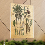 MANDRAKE vintage Premium Matte Vertical Posters