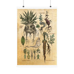 MANDRAKE vintage Premium Matte Vertical Posters