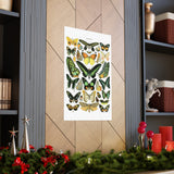 VINTAGE Butterflies Matte Vertical Posters