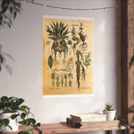 MANDRAKE vintage Premium Matte Vertical Posters