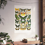 VINTAGE Butterflies Matte Vertical Posters