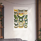 VINTAGE Butterflies Matte Vertical Posters