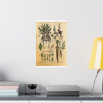 MANDRAKE vintage Premium Matte Vertical Posters