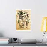 MANDRAKE vintage Premium Matte Vertical Posters