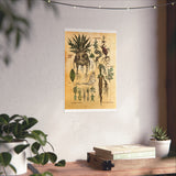 MANDRAKE vintage Premium Matte Vertical Posters