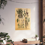 MANDRAKE vintage Premium Matte Vertical Posters