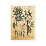 MANDRAKE vintage Premium Matte Vertical Posters